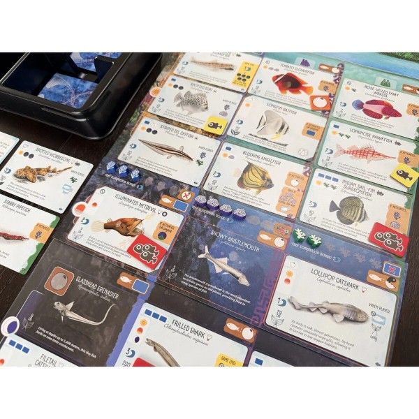 Finspan: Sharks & Reefs Expansion