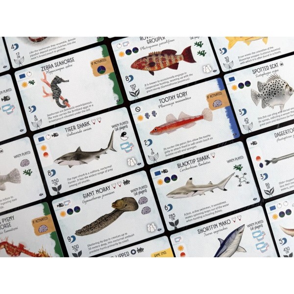 Finspan: Sharks & Reefs Expansion